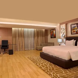 The Ocaen Near Delhi Airport Hotel New Delhi